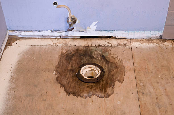 Water Damage Repair